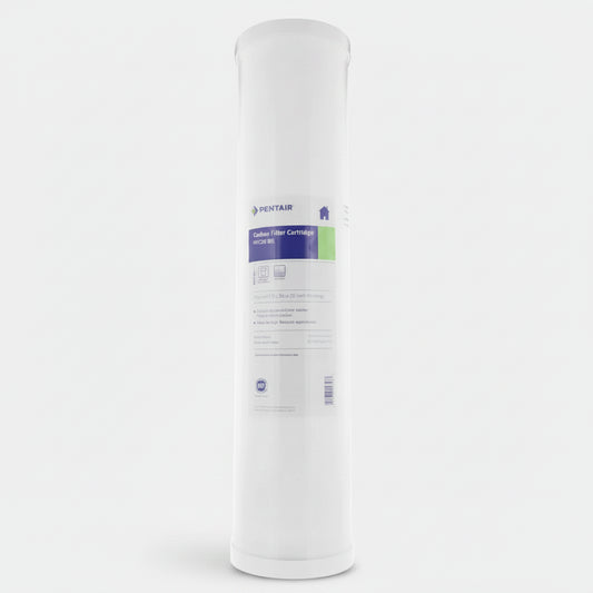 Actief Koolfilter Big Blue 20" – Smaak & Geurverbetering voor grondwater en leidingwater | Pentair